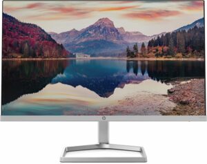 best monitor under $100