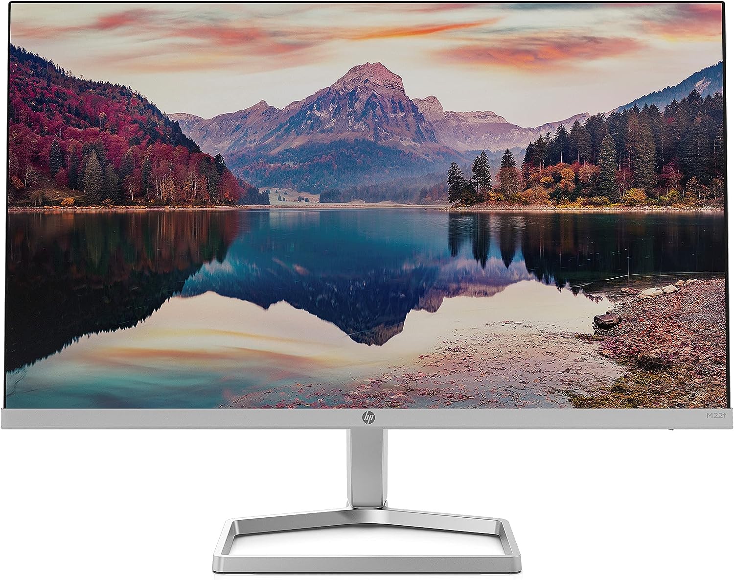 best monitor under $100