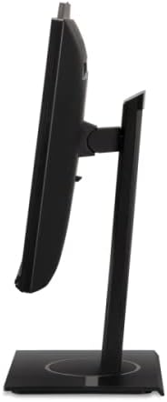 best monitor for work from home